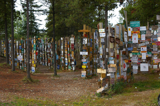 signpost forest